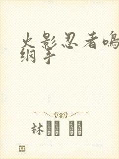 火影忍者鸣人h纲手封面