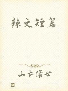 辣文短篇封面