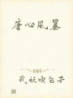 唐心风暴