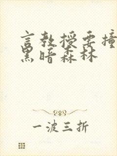 言教授要撞坏了黑暗森林封面