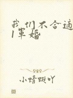 我们不合适1v1军婚