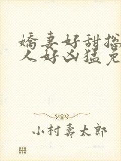 娇妻好甜总裁大人好凶猛免费小说封面