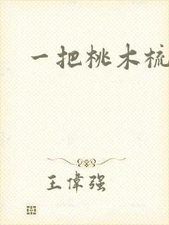 一把桃木梳封面