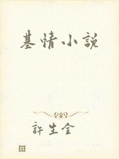 基情小说