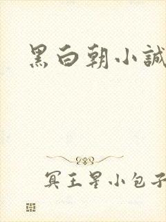 黑白朝小诚封面