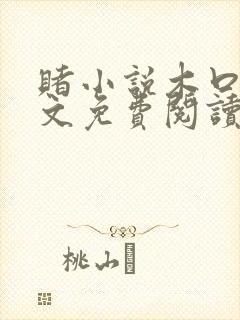 赌小说木口银全文免费阅读笔趣阁