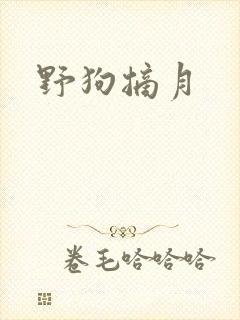 野狗摘月