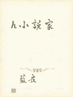 h小说家