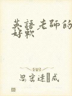 英语老师的兔子好软