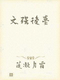 文强后台封面