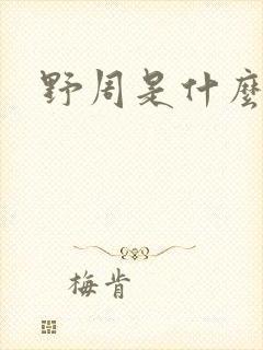 野周是什么意思