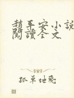 赵平安小说免费阅读全文