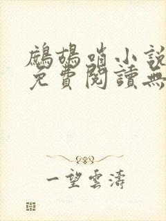 鹧鸪哨小说网站免费阅读无弹窗