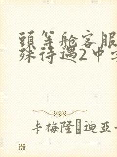 头等舱客服的特殊待遇2中字封面