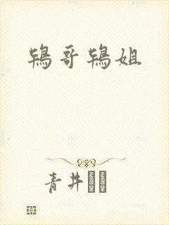 鸨哥鸨姐