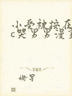 小受被按在墙上c哭男男漫画封面