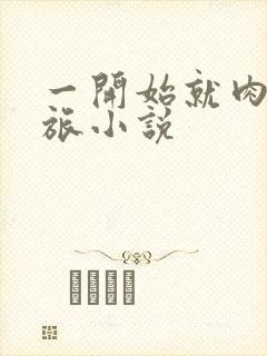 一开始就肉的军旅小说封面