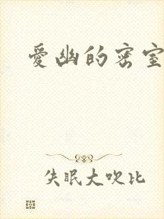 爱幽的密室小说