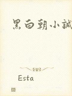 黑白朝小诚