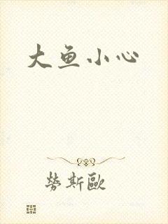 大鱼小心封面