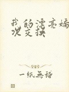 我的漂亮娇妻初次交换