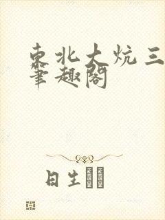 东北大炕三部曲笔趣阁