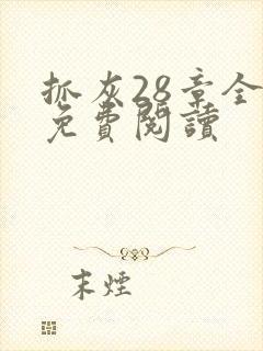 抓灰28章全部免费阅读封面