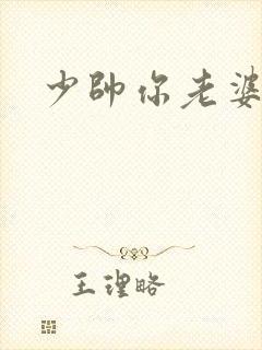 少帅你老婆