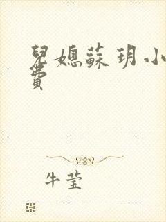 儿媳苏玥小说免费