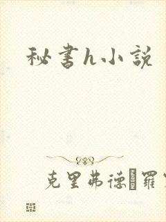 秘书h小说