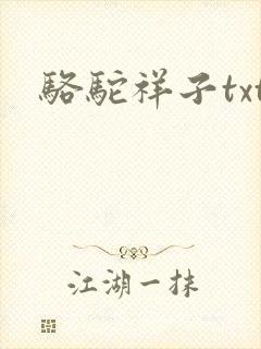 骆驼祥子txt封面