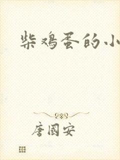 柴鸡蛋的小说