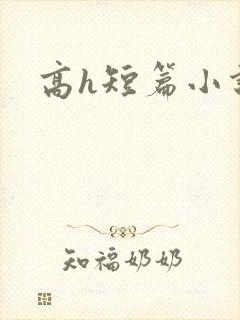 高h短篇小说封面