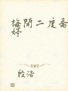 梅开二度乔枫李婷封面