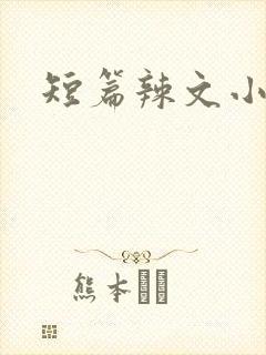 短篇辣文小说