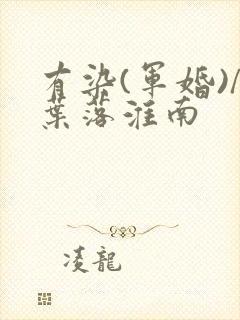 有染(军婚)/叶落淮南