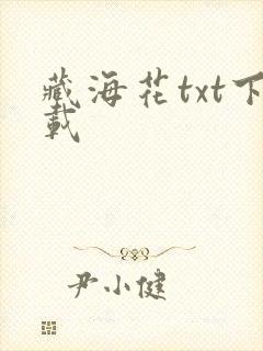 藏海花txt下载