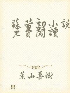 苏若初小说全文免费阅读