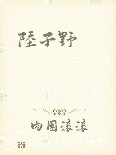 陆子野封面