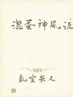 混蛋神风流