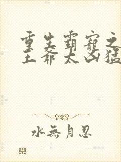 重生霸宠之摄政王爷太凶猛封面