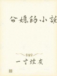公媳的小说