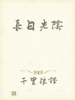 长日光阴