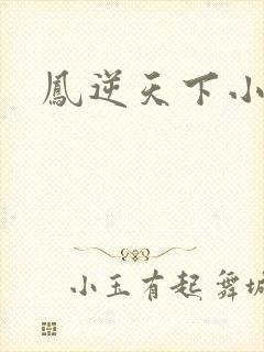 凤逆天下小说
