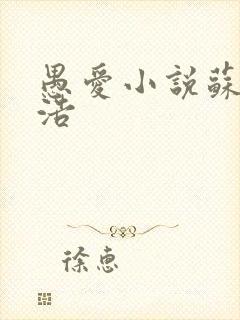 愚爱小说苏倩孙浩