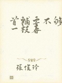 首辅要不够po一枝春