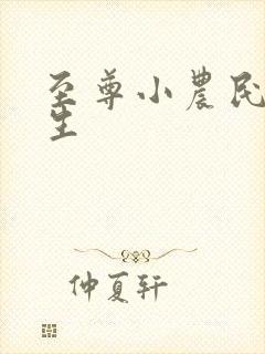 至尊小农民王木生