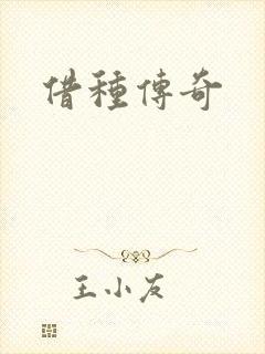 借种传奇封面