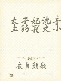 太子妃沈音和皇上的宠文小说