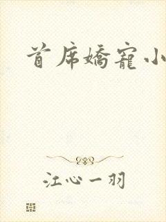 首席娇宠小情人